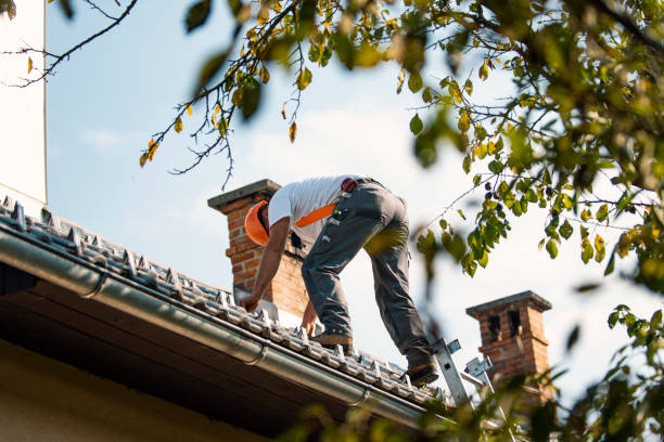 Best Roof Leak Repair  in Columbus, MS